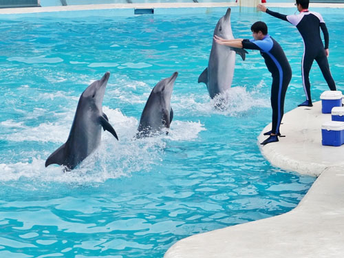 6 công viên giải trí hàng đầu DAI_LOAN